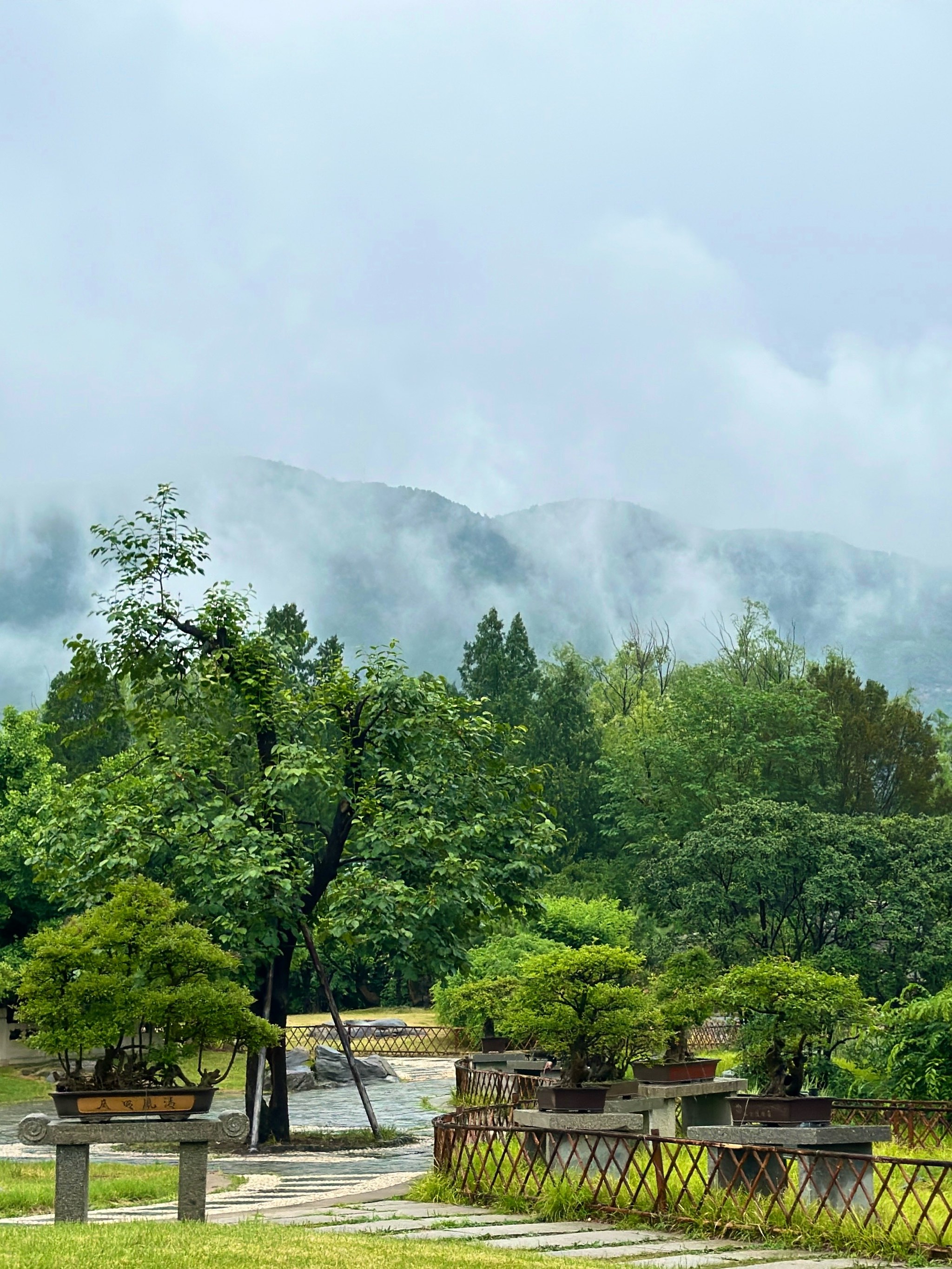 云雾缭绕的山景图片图片