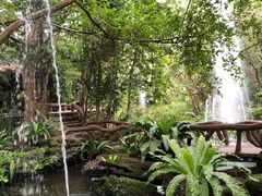 -绿光森林餐厅