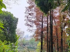 -柳侯公园