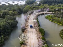 -大湾区中央湿地公园