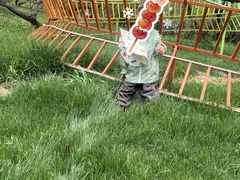 -无锡梅园公园
