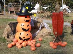 -前小桔亲子创意农场·草莓采摘·露营烧烤