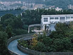 -福道