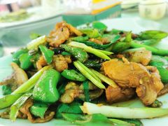 -墨脱石锅椰子鸡•香草鸭•东山羊(大东海店)