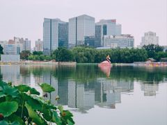 -莲花池公园