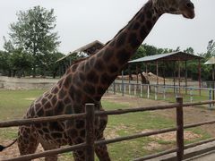 -西安秦岭野生动物园