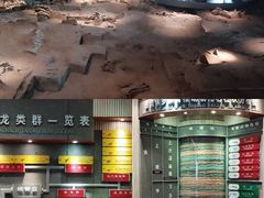 -自贡恐龙博物馆