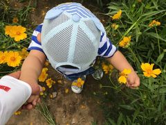 -大兴滨河森林公园