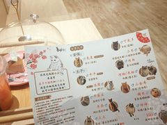 -猫小主咖啡·猫咖cat cafe(福田店)