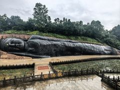 -三水森林公园