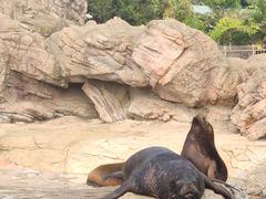 -珠海长隆海洋王国