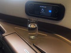 -新加坡航空公司(ION)