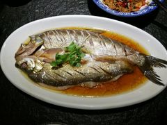鸡汁野生江白鱼-湘与香缘·湖南菜(王府井北京市百货大楼店)