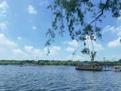 -长春市南湖公园