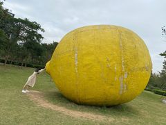 -顺峰山公园