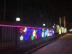 -枫花园汽车电影院(朝阳公园店)