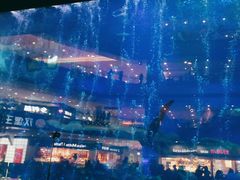 -成都浩海立方海洋公园