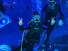 -华夏文旅海洋公园