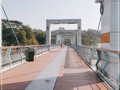 -东莞植物园