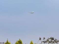 -空港花田景区