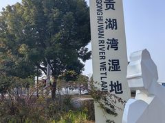 -贡湖湾湿地公园