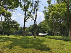 -东莞植物园