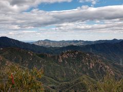 -大岭沟猕猴桃谷风景区