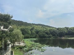 -苏州环秀晓筑养生度假村
