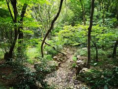 -穹窿山景区