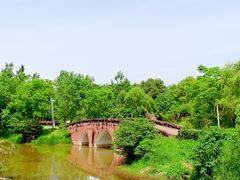 -白鹭湾湿地公园