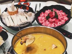 招牌鸡煲翅锅-新一哥粤菜火锅(瑞金店)