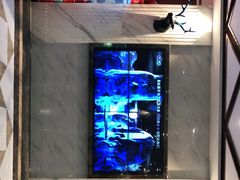 -歌利亚音乐会KTV(富民大厦店)