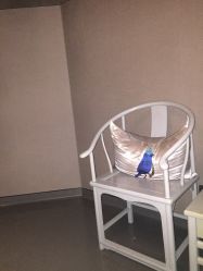 点击看大图 -奈瑞儿美养院·身体调养·美颜
