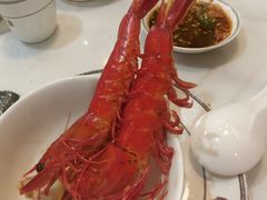 -喜聚薈·花膠雞海鮮火鍋(越秀店)