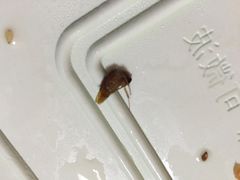 粤式轩烧味店(祥和里店)-粤拭轩·广东味道(祥和里店)