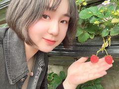 -大自然农场蔬菜草莓采摘园