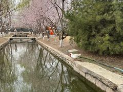 -春风习习