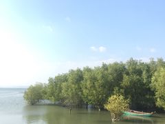 -盐洲岛