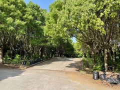 -胜华驾校·小猫学车(银都店)