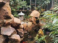 -水岸居湖景农家乐·阳澄湖大闸蟹