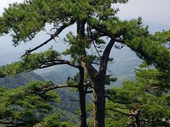 -罗田天堂寨风景区