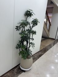 -上海伊莱美医疗美容医院