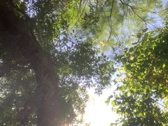 -深圳湾公园(南山区)