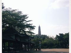 -顺峰山公园