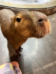 -Zoolung Zoolung动物主题公园(海信广场店)