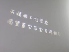 -成都失恋馆