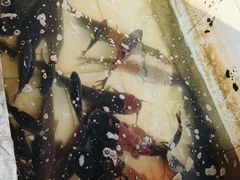 -水库活鱼馆(于桥水库店)