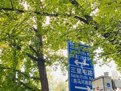 -三里屯东五街银杏大道