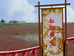 -红海滩国家风景廊道