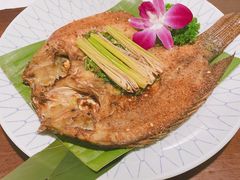 -紫滇源云南生态菜(丹凤街店)